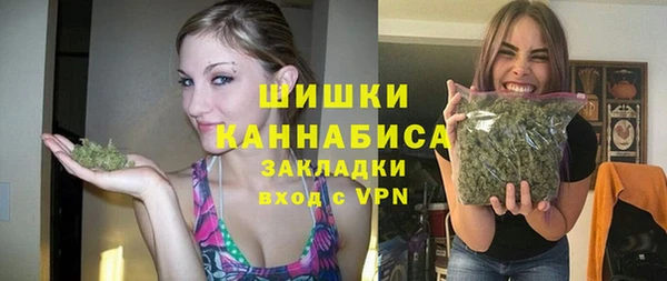 шишки Осинники