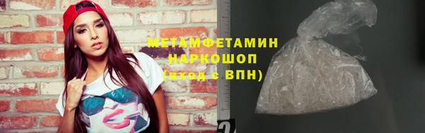 шишки Осинники