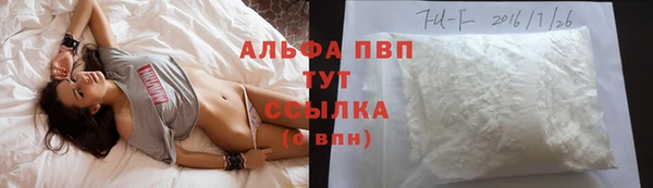 шишки Осинники
