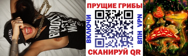 ссылка на мегу зеркало  Электроугли  Галлюциногенные грибы MAGIC MUSHROOMS  где найти  